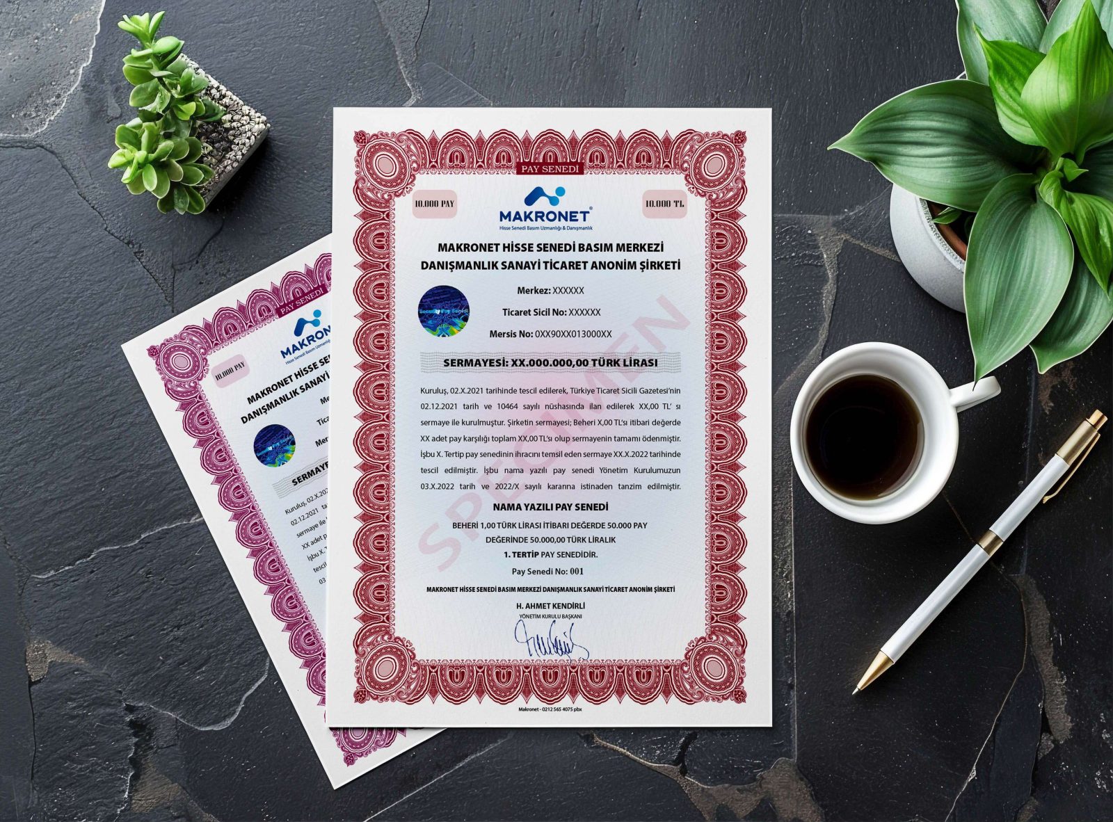 Hisse Senedinde Zayi