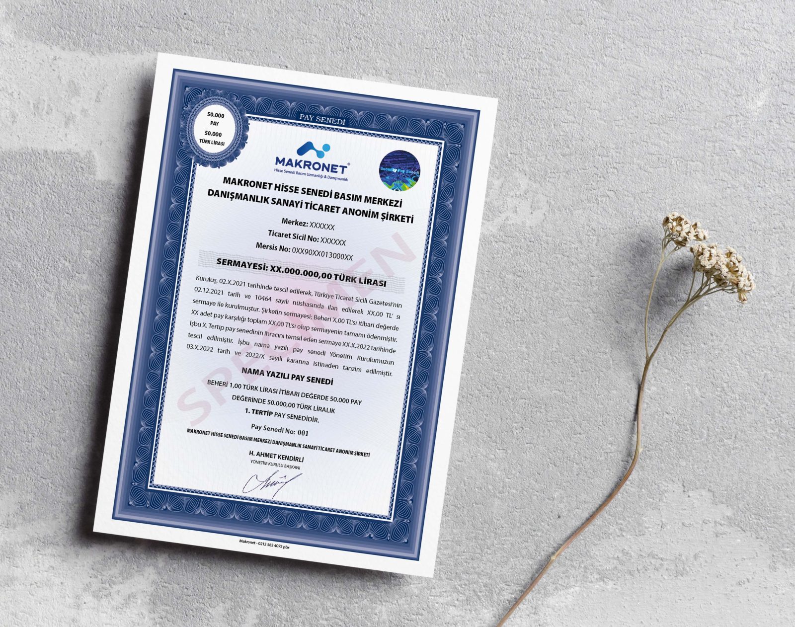 Bedelsiz Sermaye Artırımı