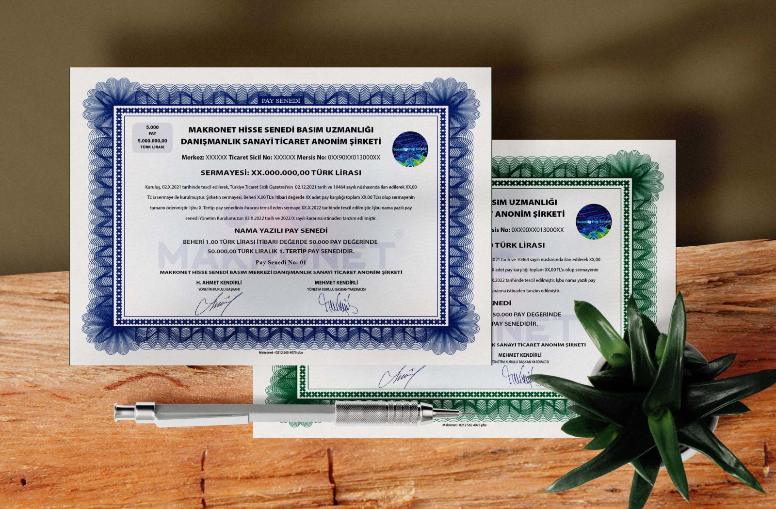 Hisse Senedi MKK Giriş