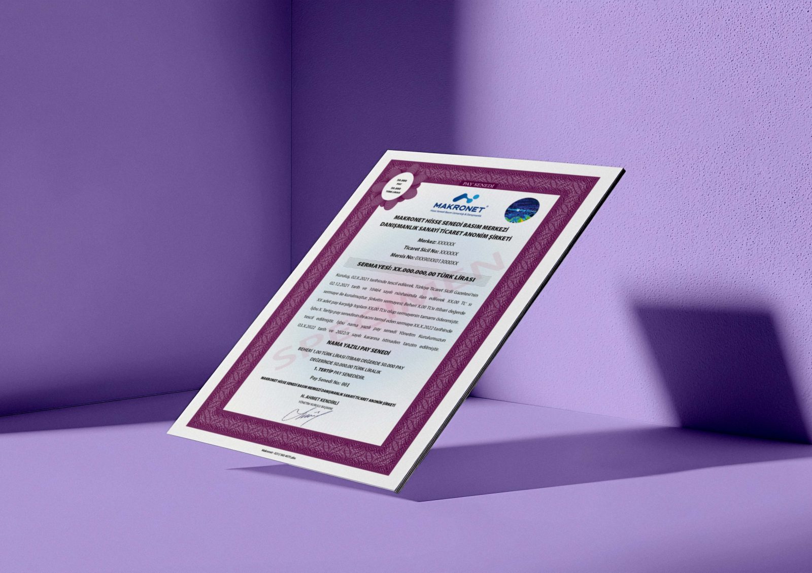 Hamiline Yazılı Pay Senedi Basımı