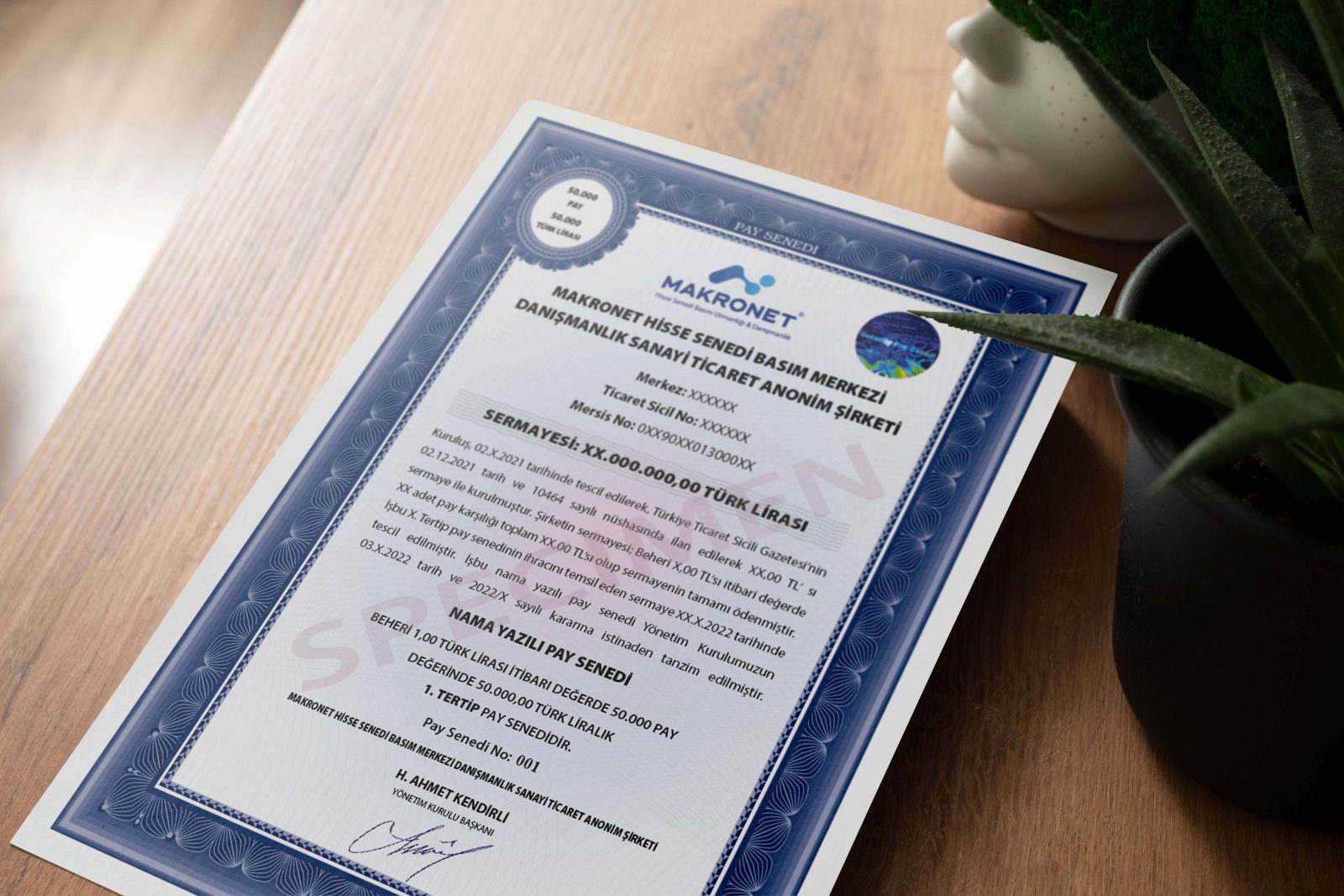 Limited Şirketlerde Hisse Devri Hakkında Bilmeniz Gerekenler