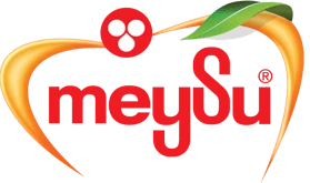 Meysu Logo