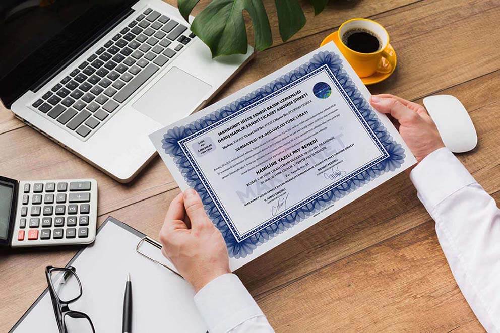 Hamiline yazılı hisse senedi örneği Makronet güvenlikli basım